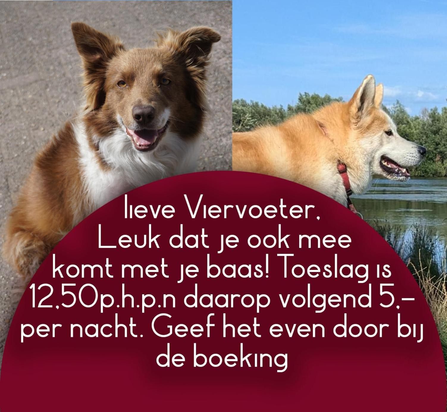 B&B Het Gelders Buitenleven Overasselt Ngoại thất bức ảnh